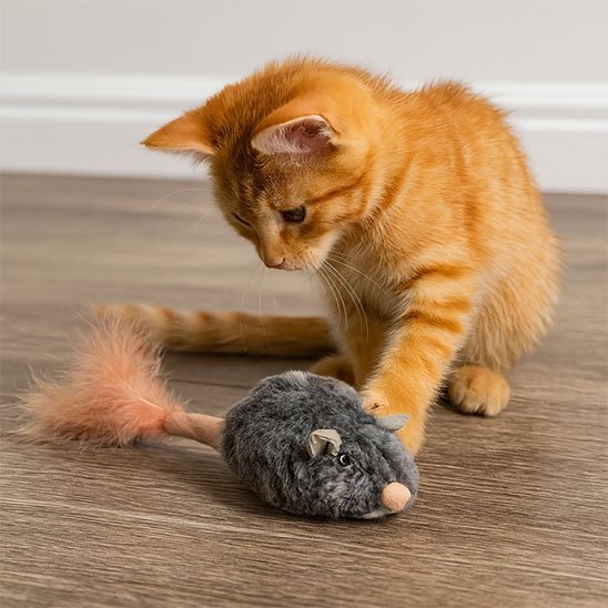 Jouet Chat interactif souris à attraper | courcat_chajoue - Chatjoue