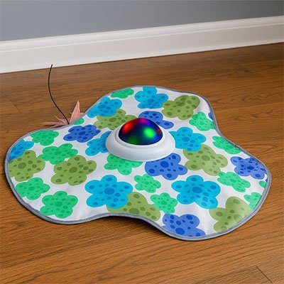 Jouet chat interactif belle soucoupe stimulante | Féliplay - Chatjoue