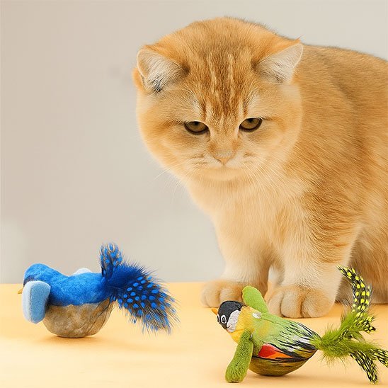 Jouet chat interactif petit oiseau chanteur - Chatjoue
