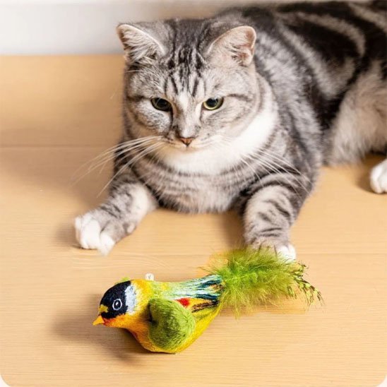 Jouet chat interactif petit oiseau chanteur - Chatjoue