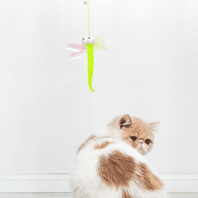 Jouet Chat Interactif - JumpPaw™ - Libellule - Chatjoue