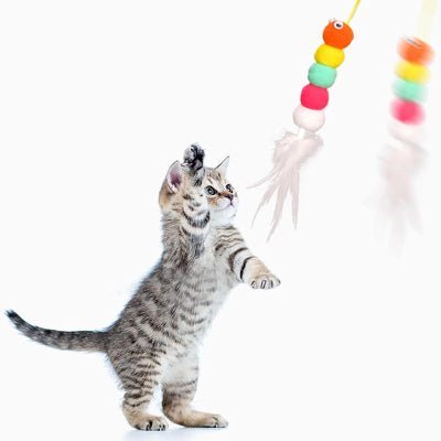 Jouet Chat Interactif - JumpPaw™ - Plume - Chatjoue