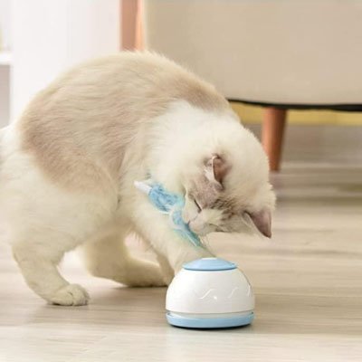 Jouet chat interactif petit moteur stimulant et sa soucoupe - Chatjoue