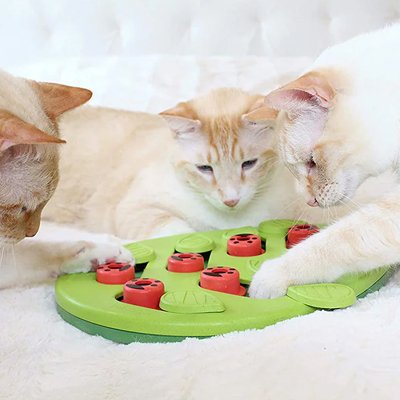 Jouet Chat interactif plateau anti-glouton