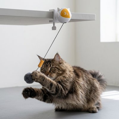 Jouet Chat interactif pour les chatons et les chats adultes