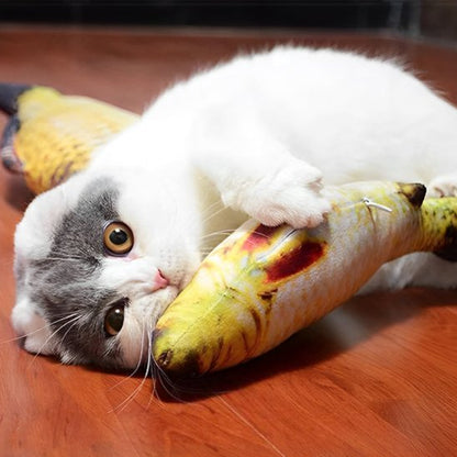 Jouet chat interactif poisson réaliste - Chatjoue