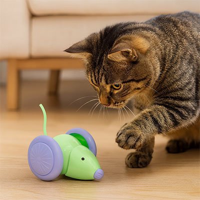 Jouet chat interactif souris de chasse - Chatjoue
