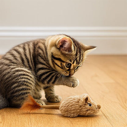 Jouet Chat interactif souris à attraper | courcat_chajoue - Chatjoue