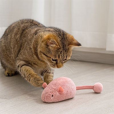 Jouet Chat interactif souris idéale pour la chasse 
