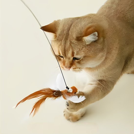 Jouet chat interactif petit oiseau sur tige - Chatjoue