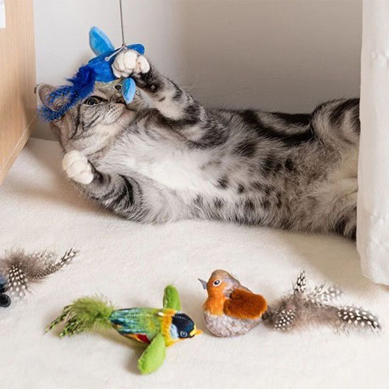 Jouet chat interactif petit oiseau chanteur - Chatjoue