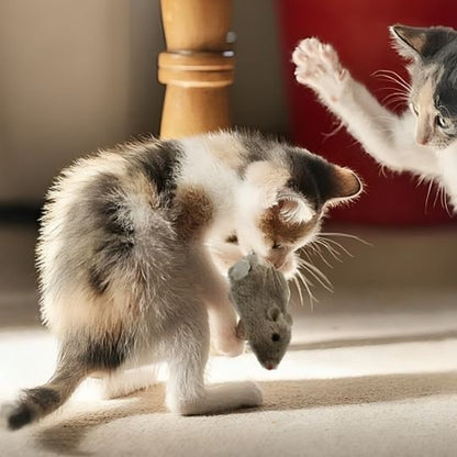 Jouet chat interactif petite souris à remonter - Chatjoue