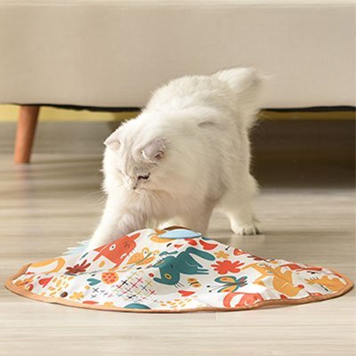 Jouet chat interactif petit moteur stimulant et sa soucoupe - Chatjoue
