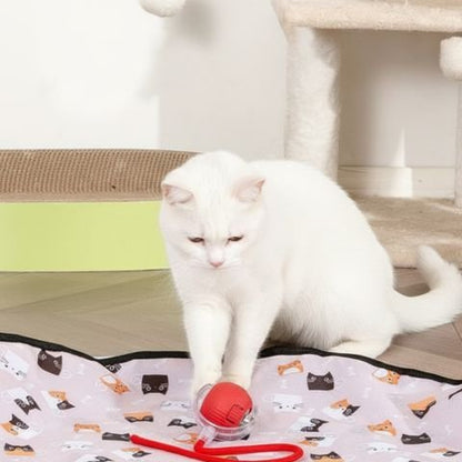 Jouet chat interactif cercle de chasse | Instinctif - chatjoue - Chatjoue