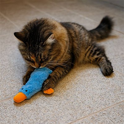 Jouet chat joli canard bleu