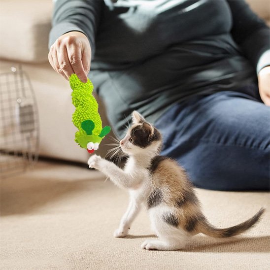 Jouet chat chenille verte | chanille chatjoue - Chatjoue