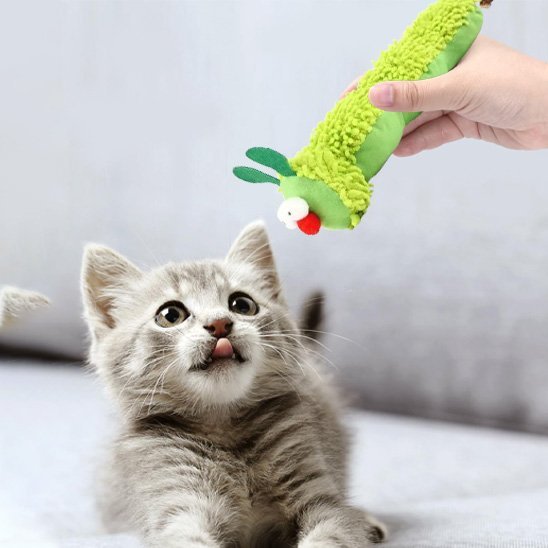 Jouet chat chenille verte | chanille chatjoue - Chatjoue