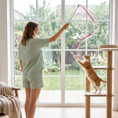 Jouet Chat possède des rubans de 145 cm environ