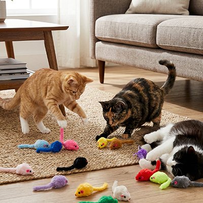 Jouet Chat pur plusieurs chats en même temps