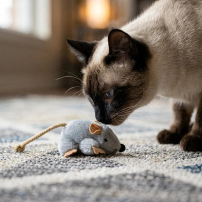 Jouet Chat souris grise chat qui la sent 