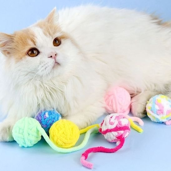Jouet chat balle fils de couleurs vives | Interactif Félin - Chatjoue
