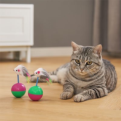 Jouet chat balle à basculement de 180° | Interactif Félin - Chatjoue