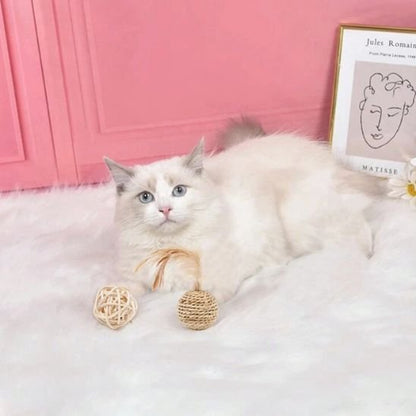 Balles en Rotin pour Chat - Jouet Interactif Rouleplume | Chatjoue - Chatjoue