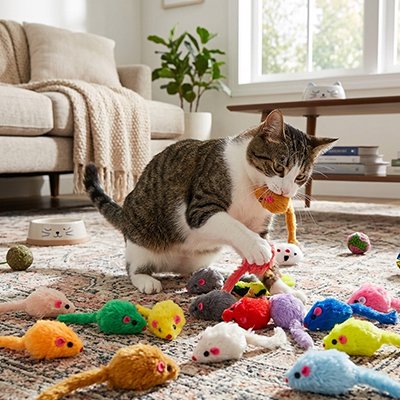 Jouet Chat une par jour ou presque 