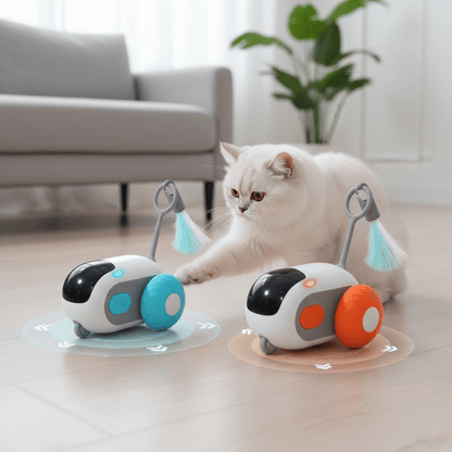 Jouet chat voiture sur roue - Chatjoue