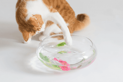 Jouet Interactif Chat - CatchyFish™ - Rose Bonbon - Chatjoue