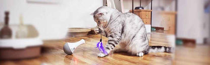Jeu Interactif pour Chat | Chasseur 360°