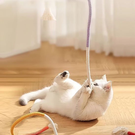 Jouet Corde pour Chat Interactif - Tirecorde Stimulation - Chatjoue - Chatjoue