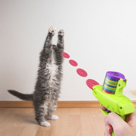 Jouet pour chat interactif pistolet et jetons| ChasseFun - Chatjoue