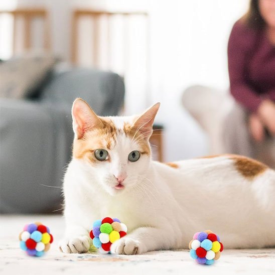 Jouet pour chat balle multi - couleurs - Chatjoue