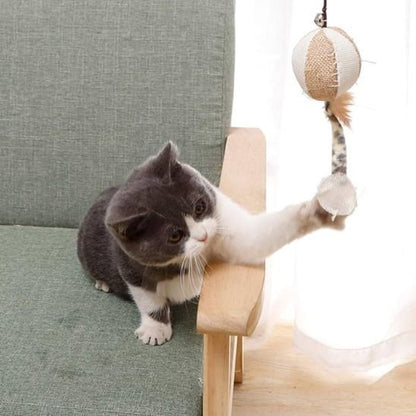 Jouet Baguette Interactif pour Chat - Animaux | Chatjoue - Chatjoue