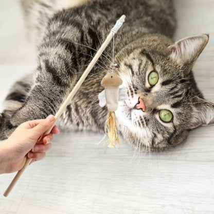 Jouet Baguette Interactif pour Chat - Animaux | Chatjoue - Chatjoue