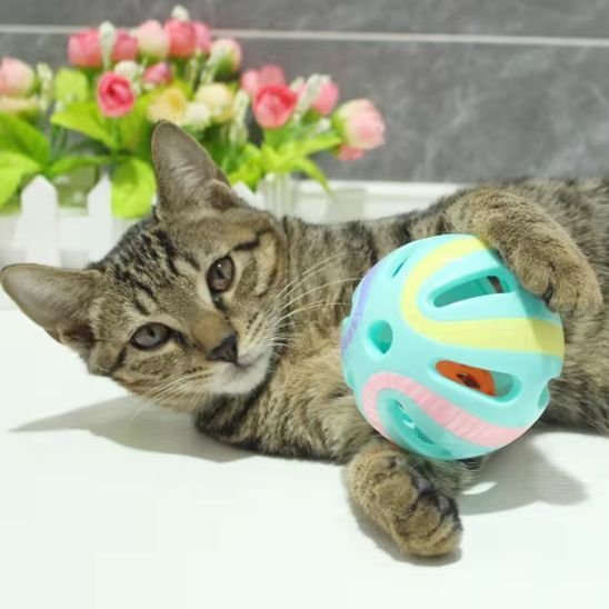 Jouet pour chat balle avec grelot | 