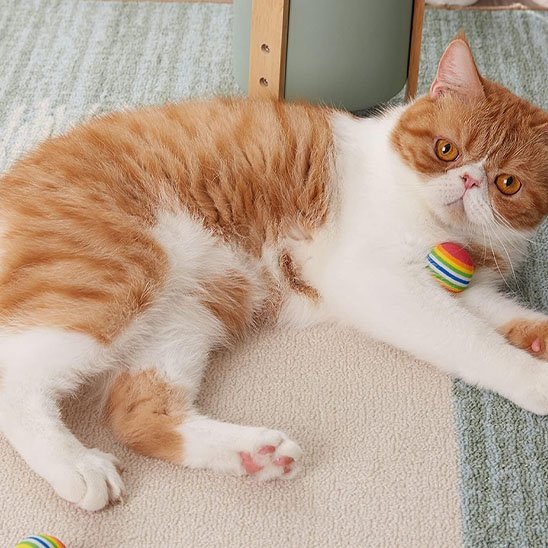 Jouet pour chat balle multi - couleurs mousse | Interactif - Chatjoue