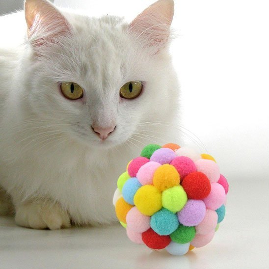 Jouet pour chat balle multi - couleurs - Chatjoue