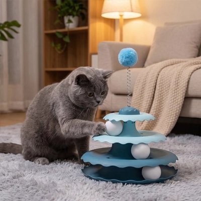 Jouet pour Chat bleu et chat qui joue dans salon