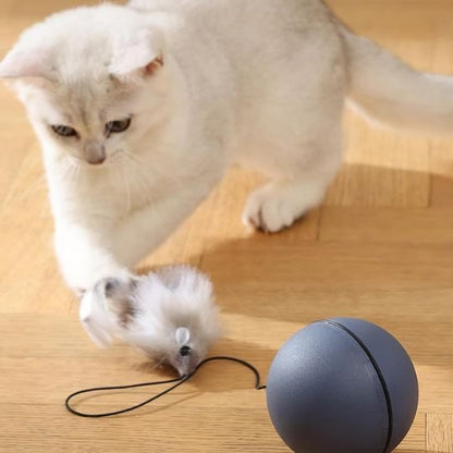 Jouet Chat Interactif Boule Imprévisible | Stimulation Mentale | Chatjoue - Chatjoue