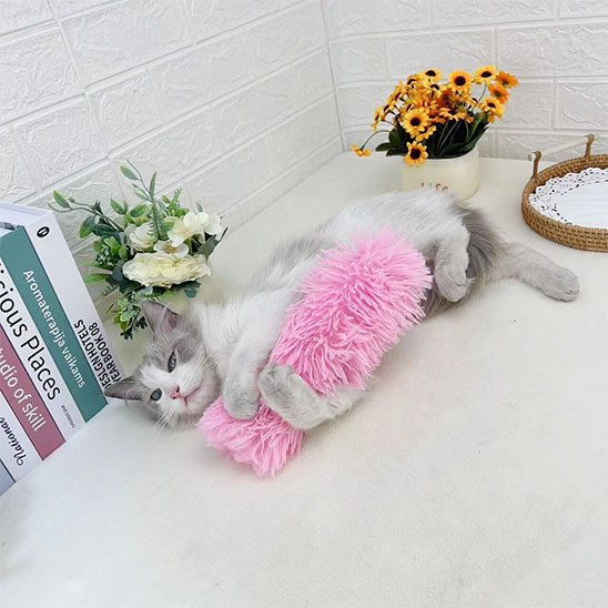 Jouet pour chat ce bâton est pour tous les chats