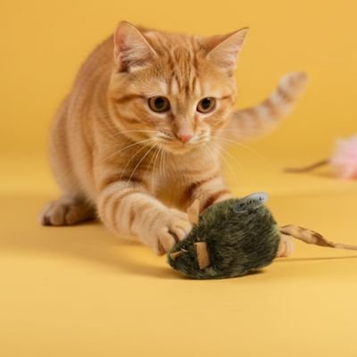 Jouet pour Chat super souris verte | Interstimule - chatjoue - Chatjoue