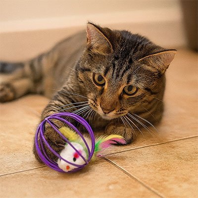 Jouet pour Chat super balle avec souris intégrée| mousefelix - chatjoue - Chatjoue