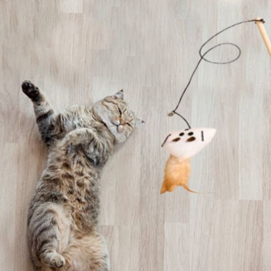 Jouet Baguette Interactif pour Chat - Animaux | Chatjoue - Chatjoue