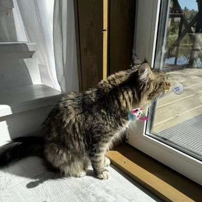 Jouet pour chat interactif oiseau sur tige et ventouse - Chatjoue