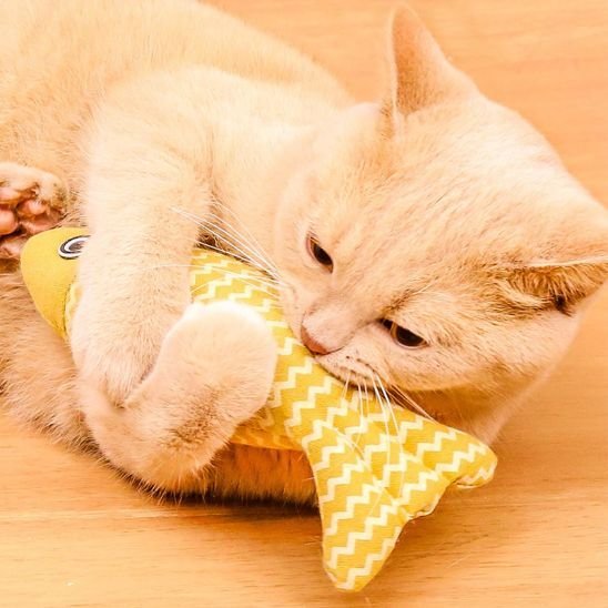 Jouet Poisson en Tissu pour Chat - Interactif & Anti - Ennui | Chatjoue - Chatjoue