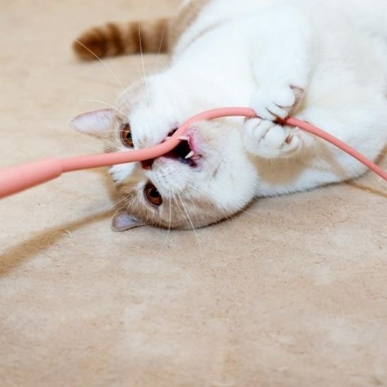 Jouet pour chat baguette queue de rat | stimulicat - chatjoue - Chatjoue