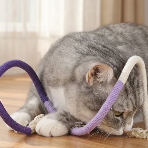 Jouet pour chat de 2 dimensions