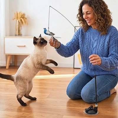 Jouet pour Chat de couleur bleu avec du blanc